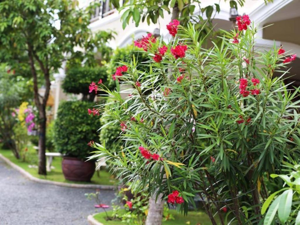 Alice Villa Hotel Takeo Εξωτερικό φωτογραφία